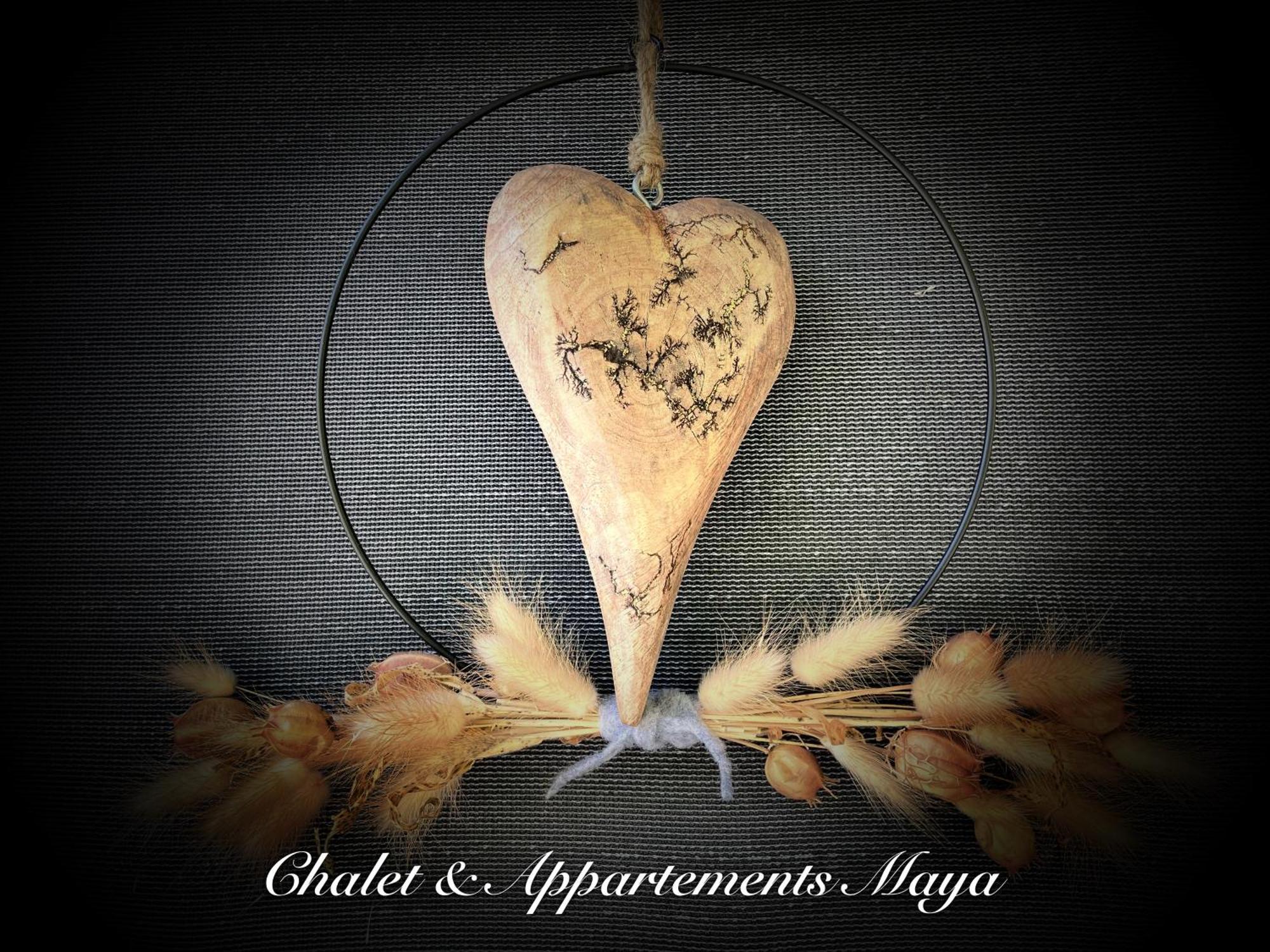 Chalet Maya Schladming Bagian luar foto